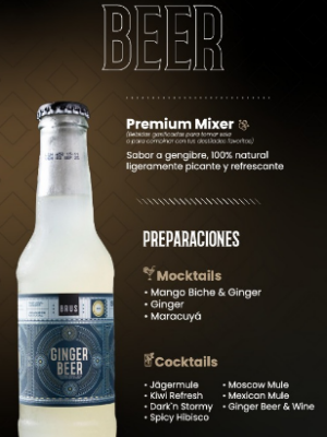 GINGER BEER BRUS CAJA X 30 UND X 212 ML