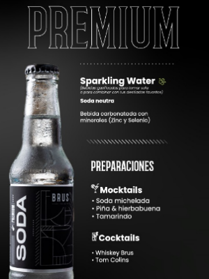 SODA PREMIUM BRUS CAJA X 30 UND X 212 ML