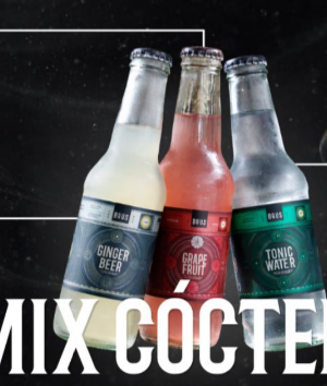 CAJA MIX TORONJA-GINGER-TONICA BRUS CAJA X 30 U SURTIDA